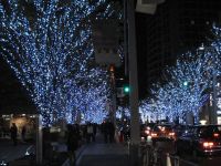 六本木ヒルズ けやき坂イルミネーション