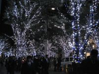 六本木ヒルズけやき坂　点灯式