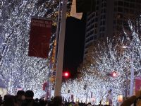 六本木ヒルズけやき坂