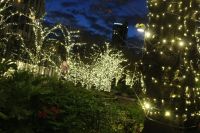 ミッドタウン東京