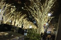 表参道けやき通り