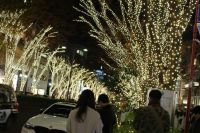 表参道けやき通り