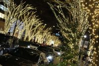 表参道けやき通り